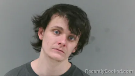 Mugshot of Dylan Garrett Cowley