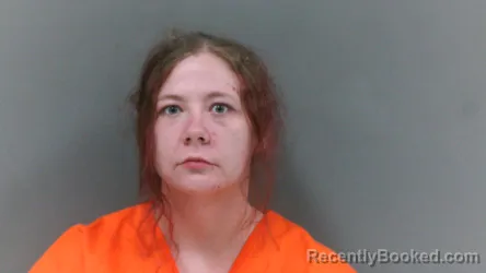 Mugshot of Hannah Leigh Johnson booked in Logan County, West Virginia on August 17, 2026