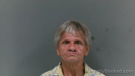 Mugshot of James Lewis Santanio booked in Logan County, West Virginia on June 10, 2026