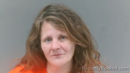 Mugshot of Katrina Lynn Fillinger booked in Logan County, West Virginia on July 6, 2026