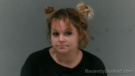 Mugshot of Kelly Lynn Workman booked in Logan County, West Virginia on June 12, 2026