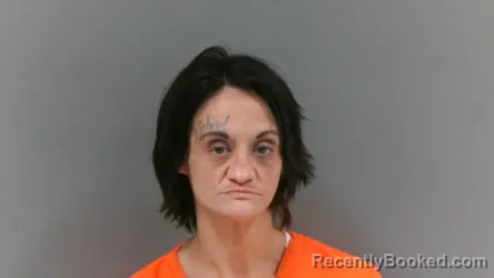 Mugshot of Kaila Rose Stiltner booked in Logan County, West Virginia on August 23, 2026