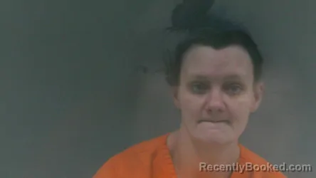 Booking photo from Logan County, West Virginia