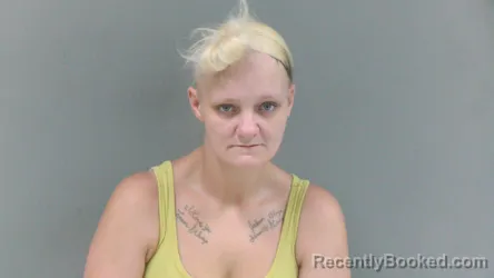 Mugshot of Leanna Renee Bias booked in Logan County, West Virginia on September 16, 2026