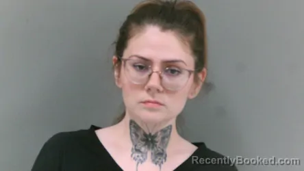 Mugshot of Laura Sue Mcneely booked in Logan County, West Virginia on March 17, 2026