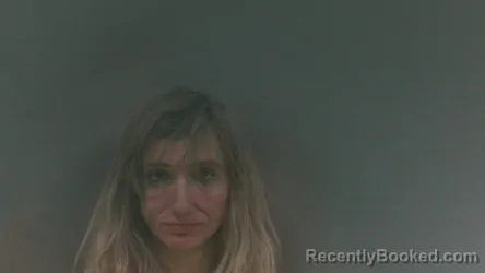 Mugshot of Misty Ann Spears
