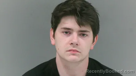 Mugshot of Matthew Carlton Cline booked in Logan County, West Virginia on October 25, 2026