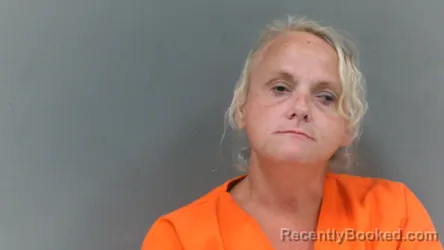 Mugshot of Megan Leann Williams booked in Logan County, West Virginia on August 17, 2026