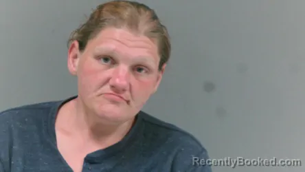 Mugshot of Pamela Diane Williamson