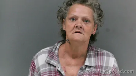 Mugshot of Roberta Lee Tomblin booked in Logan County, West Virginia on April 4, 2026