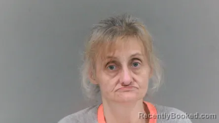 Mugshot of Robin Lynn Whitt booked in Logan County, West Virginia on October 29, 2026