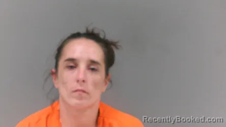 Mugshot of Rachelle Marie Stamper booked in Logan County, West Virginia on October 5, 2026