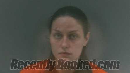 Booking photo from Logan County, West Virginia