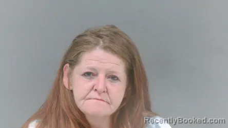 Mugshot of Tessa Dawn Crile booked in Logan County, West Virginia on July 19, 2026