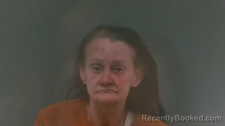 Mugshot of Tracie Denise Nelson