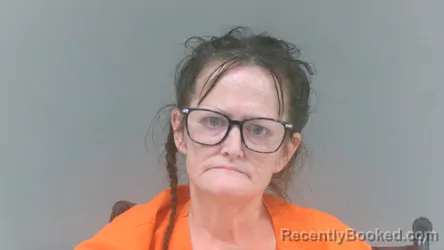 Mugshot of Theresa Lee Artz booked in Logan County, West Virginia on July 31, 2026