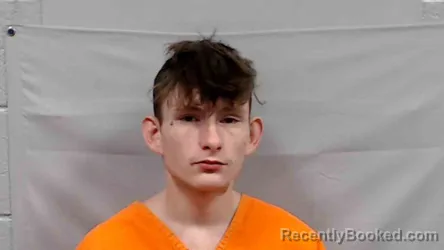 Mugshot of Wesley James Godfrey