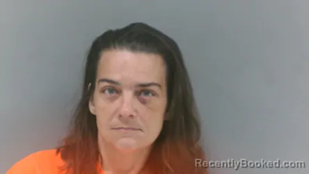 Mugshot of Amanda Denise Triplett booked in McDowell County, West Virginia on July 8, 2026