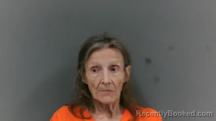 Mugshot of Alice Faye Walls booked in McDowell County, West Virginia on June 17, 2026