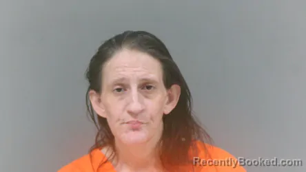 Mugshot of Mandy Ranae Phillips booked in McDowell County, West Virginia on July 10, 2026