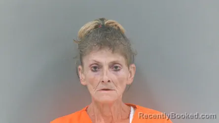 Mugshot of Ruthie Gail Blankenship booked in McDowell County, West Virginia on July 29, 2026