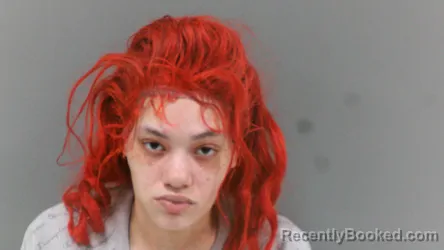 Mugshot of Savannah Rose Jean