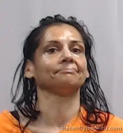 Mugshot of Aliyah Ahmad booked in Marion County, West Virginia on July 13, 2026