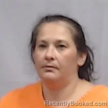 Mugshot of Ashley Brooke Hustead booked in Marion County, West Virginia on August 25, 2026