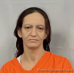 Mugshot of Amanda Elizabeth Hill