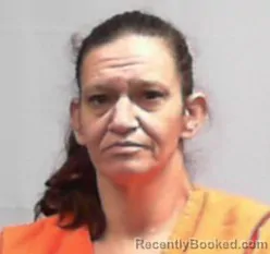 Mugshot of Amanda Elizabeth Hill
