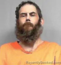 Mugshot of Brandon Micheal Fleeman