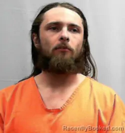 Booking photo from Marion County, West Virginia