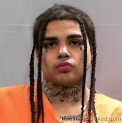 Mugshot of Federico Vega Olvera