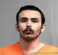 Mugshot of Nicholas Hibbs booked in Marion County, West Virginia on March 28, 2026