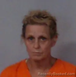 Mugshot of TAMMY JEAN LEE booked in Marion County, West Virginia on July 22, 2026