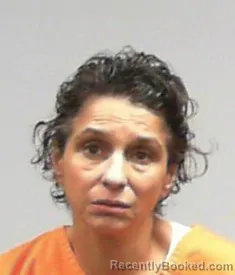 Mugshot of Tina Marie Gill booked in Marion County, West Virginia on May 15, 2026