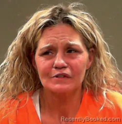 Booking photo from Marshall County, West Virginia