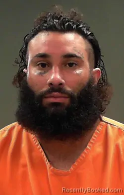 Booking photo from Marshall County, West Virginia