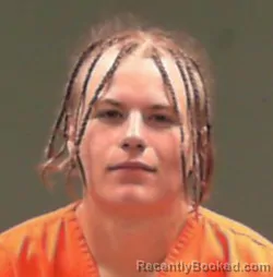 Mugshot of Levi Anthony Goodman booked in Marshall County, West Virginia on June 16, 2026