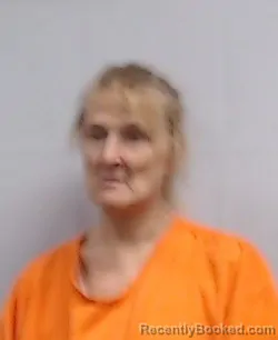 Mugshot of Lisa Arlene Hinerman booked in Marshall County, West Virginia on August 14, 2026