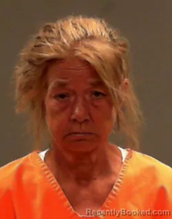 Mugshot of Mary Lynnette Chamberlain booked in Marshall County, West Virginia on June 17, 2026