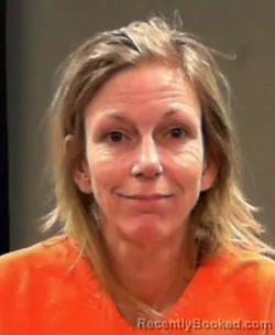 Mugshot of Stacy Collins