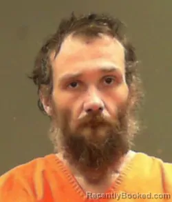 Mugshot of Terry Lynn Watson