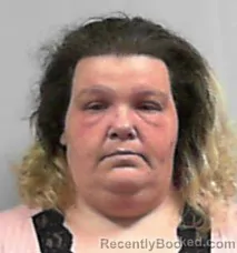 Mugshot of Elizabeth M Meihls