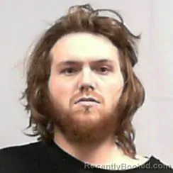 Mugshot of Shawn Austin Horne
