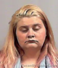 Mugshot of Taylor Flint booked in Mason County, West Virginia on March 27, 2026