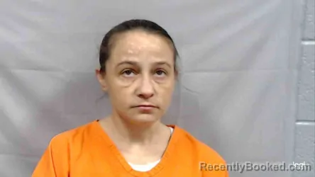 Mugshot of AMANDA SUE MEADORS