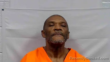 Mugshot of Chubby Willis Hoston