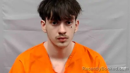 Mugshot of Gabriel Allen Roles