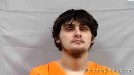 Mugshot of Joshua Dylan Terry